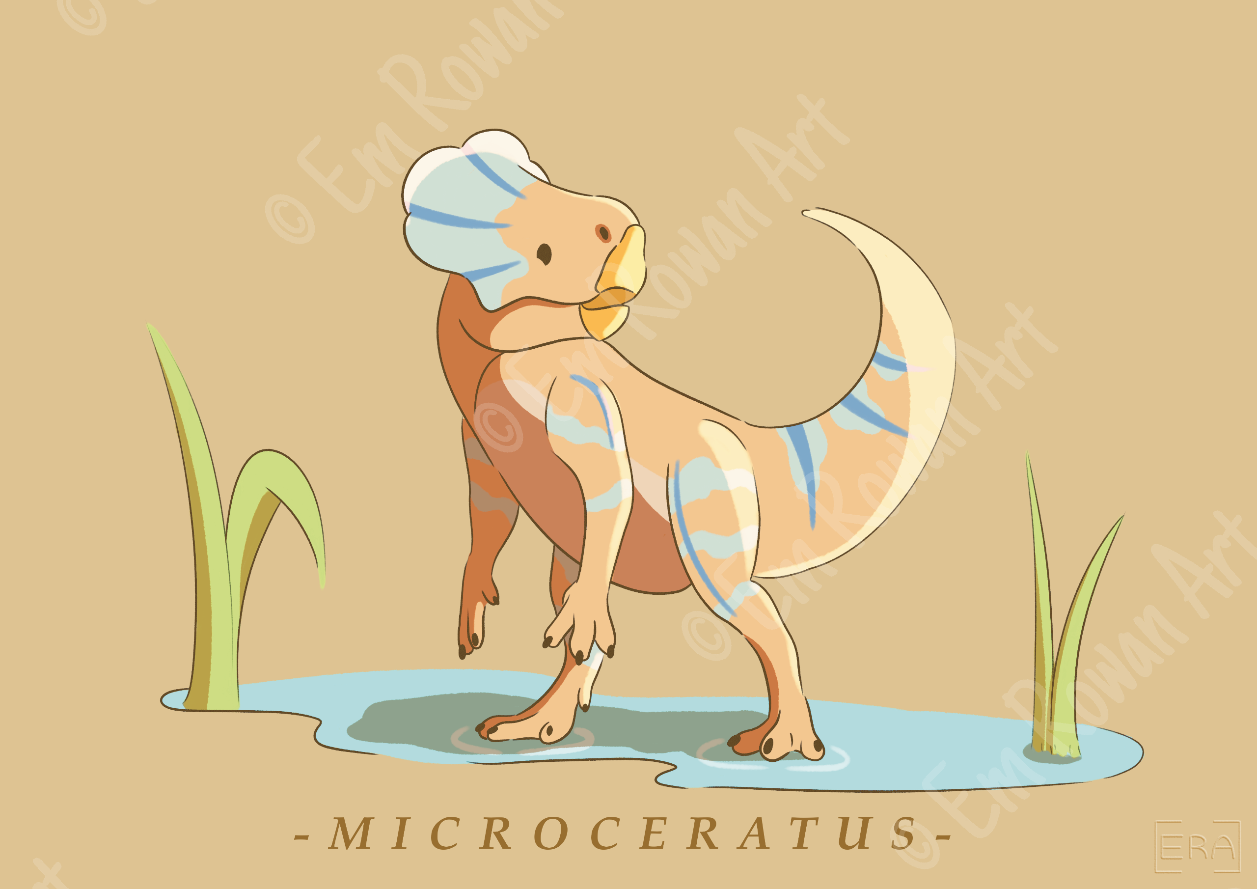 Microceratus
